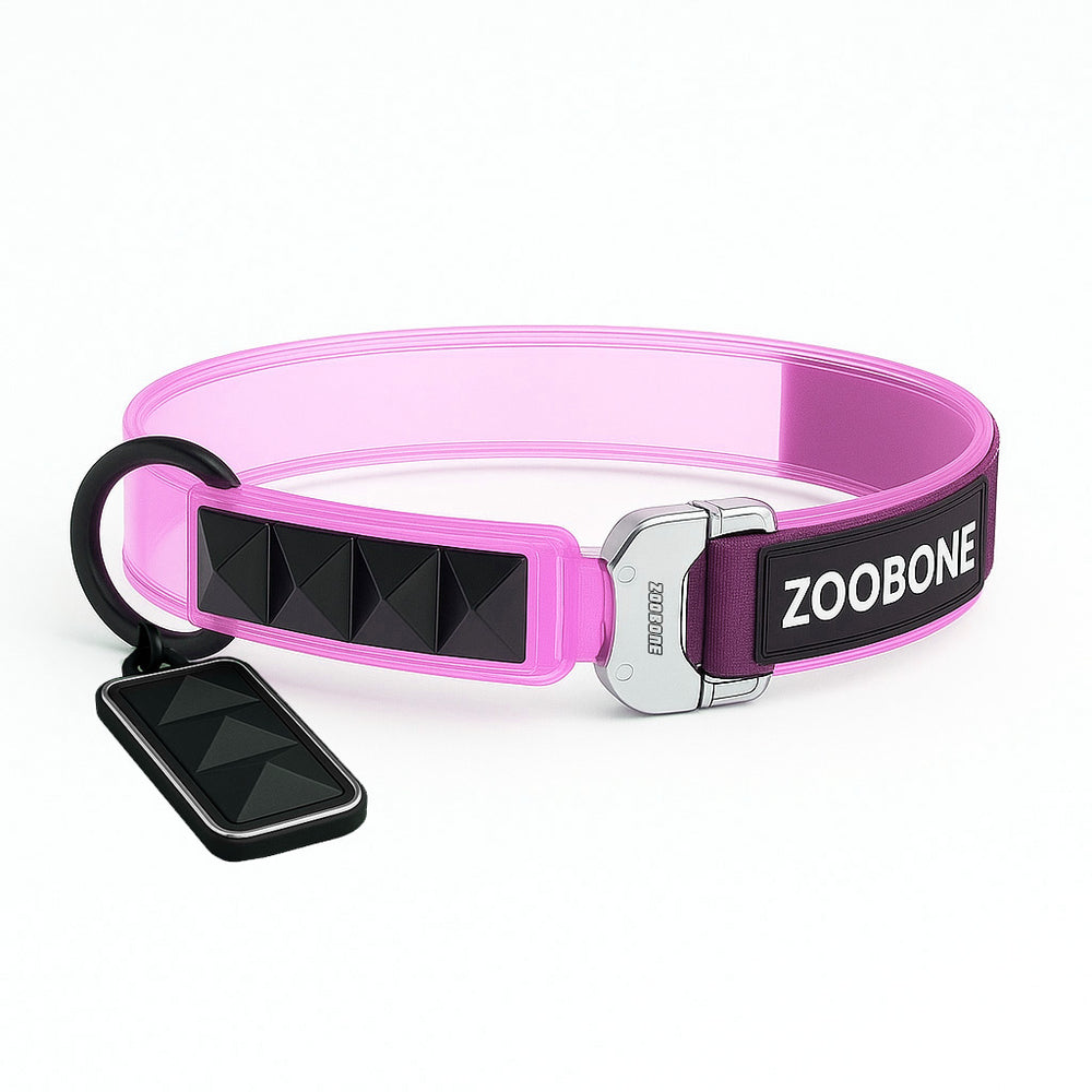 ZCLEAR COLLAR