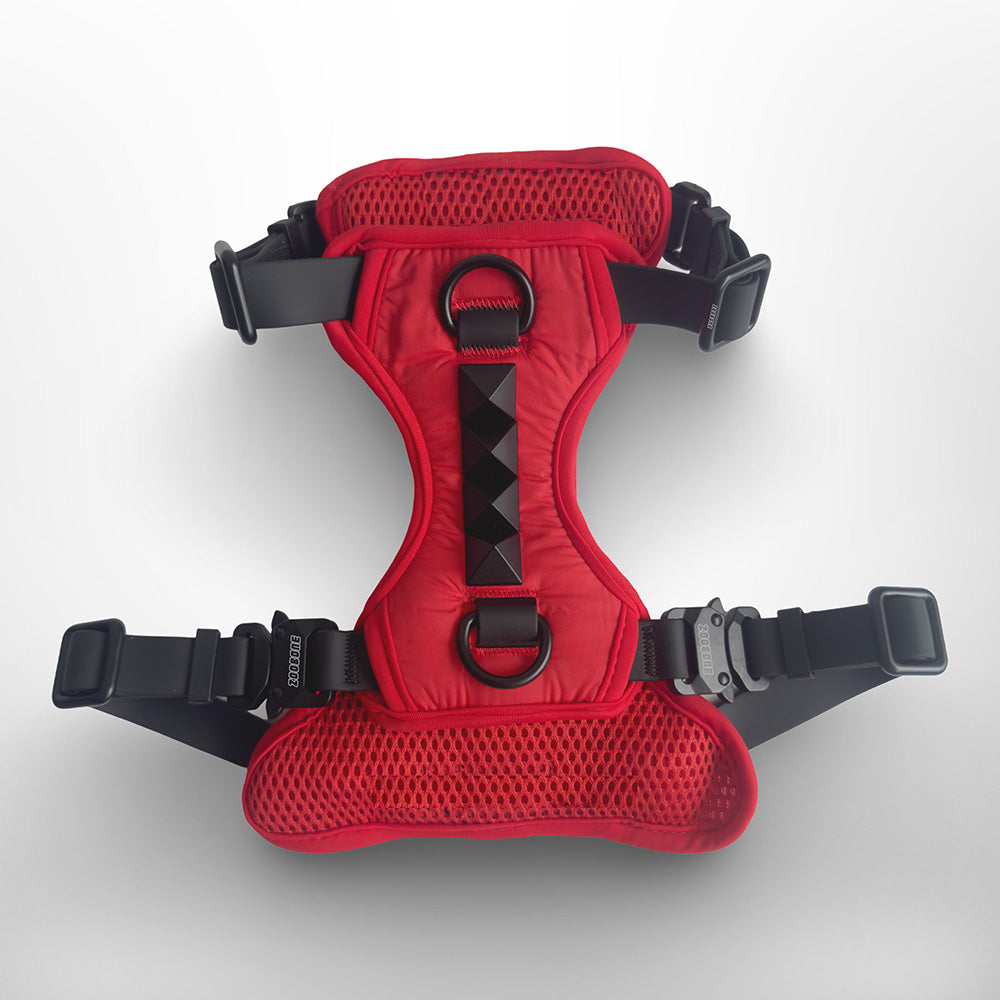 ZSPIKE HARNESS